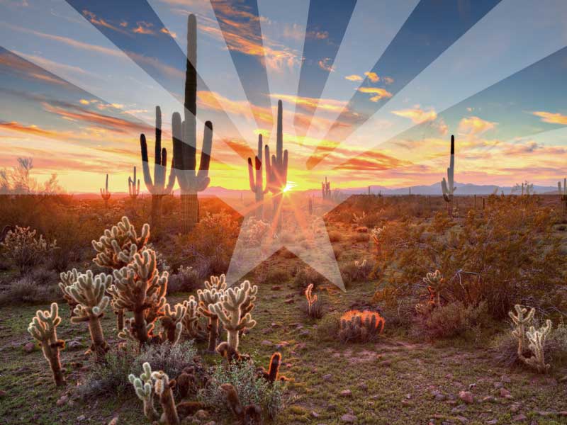 Arizona desert with flag shadow