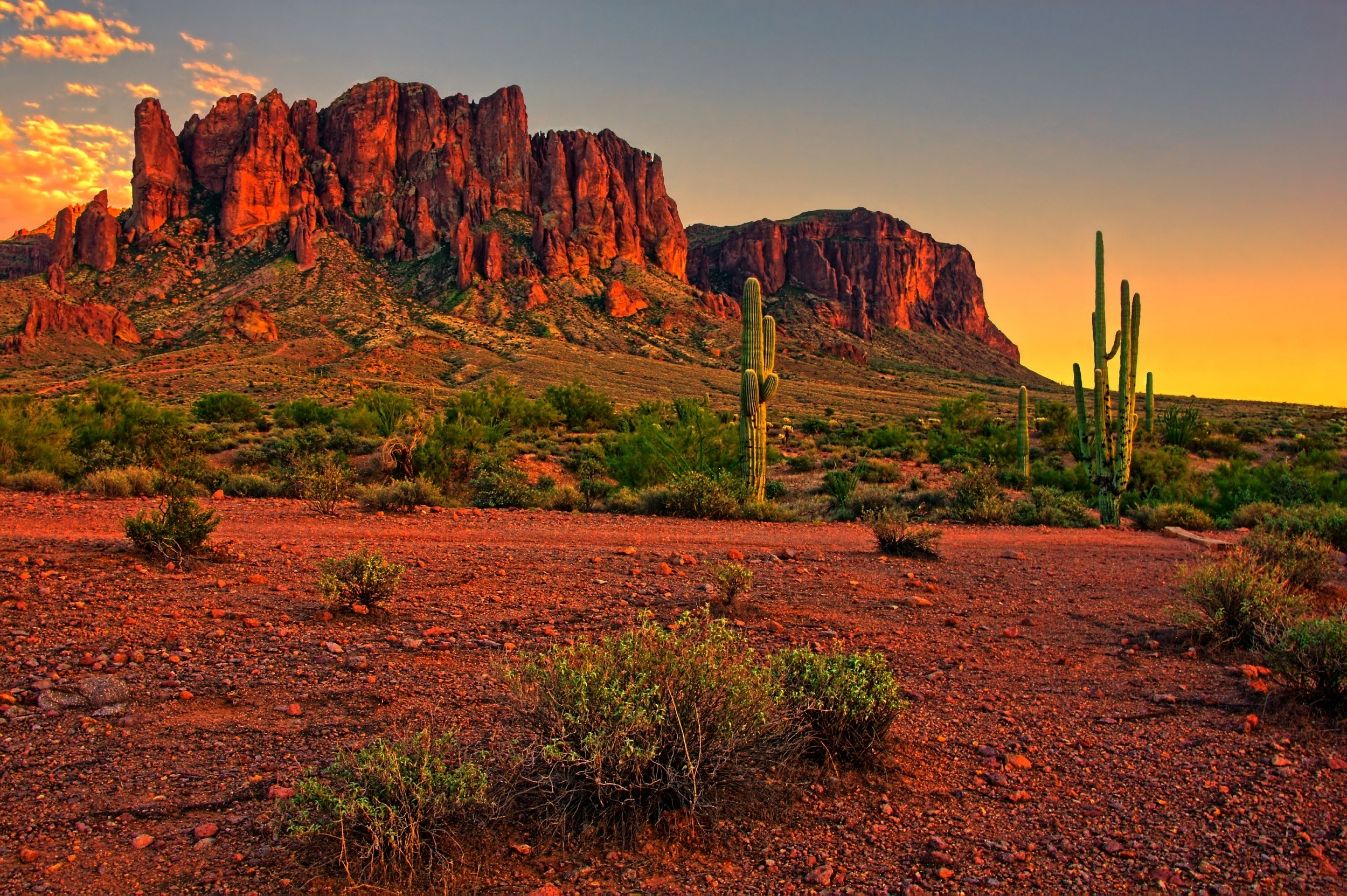 arizona desert