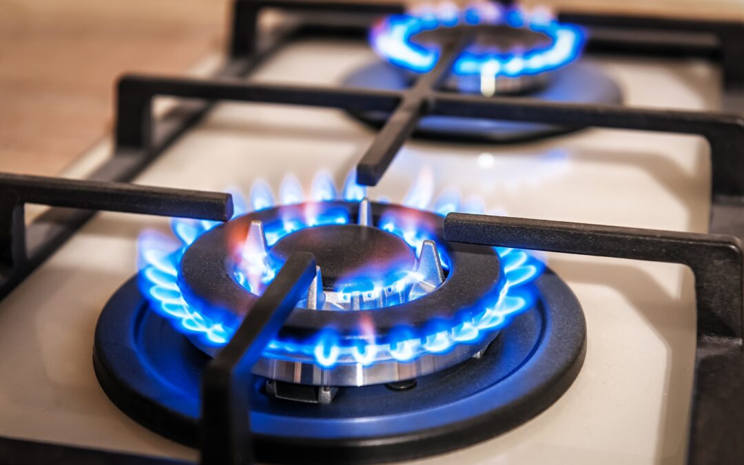 Lawmakers Must Put a Stop to Any Bans on Gas Stoves