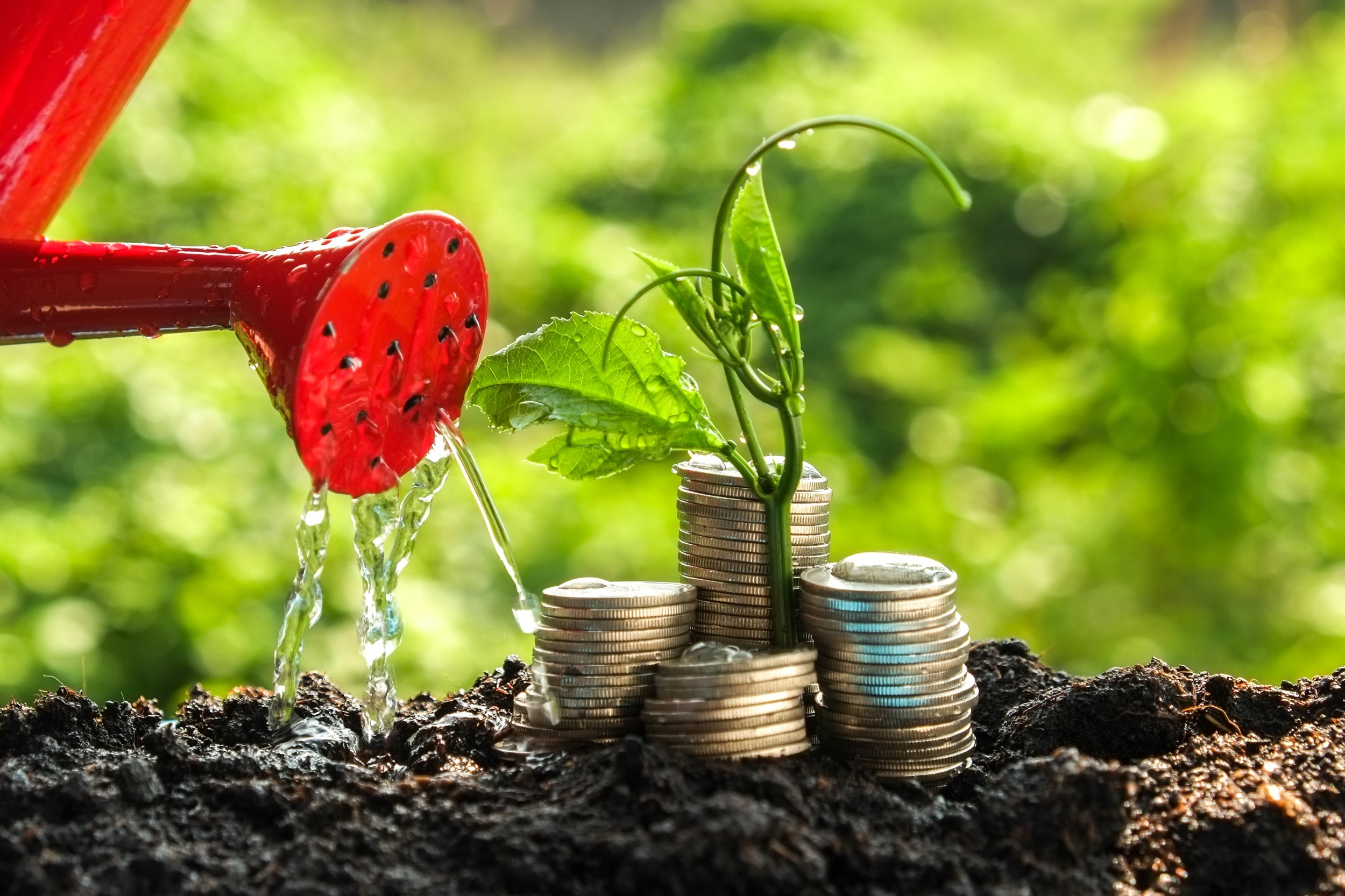 can watering money