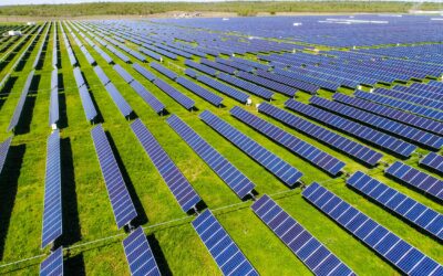 GOP Senate Needs to Listen to Trump: Kill the Green New Scam in the Big Beautiful Bill