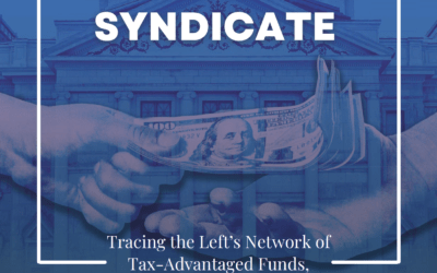 Arizona’s Liberal NGO Syndicate Report