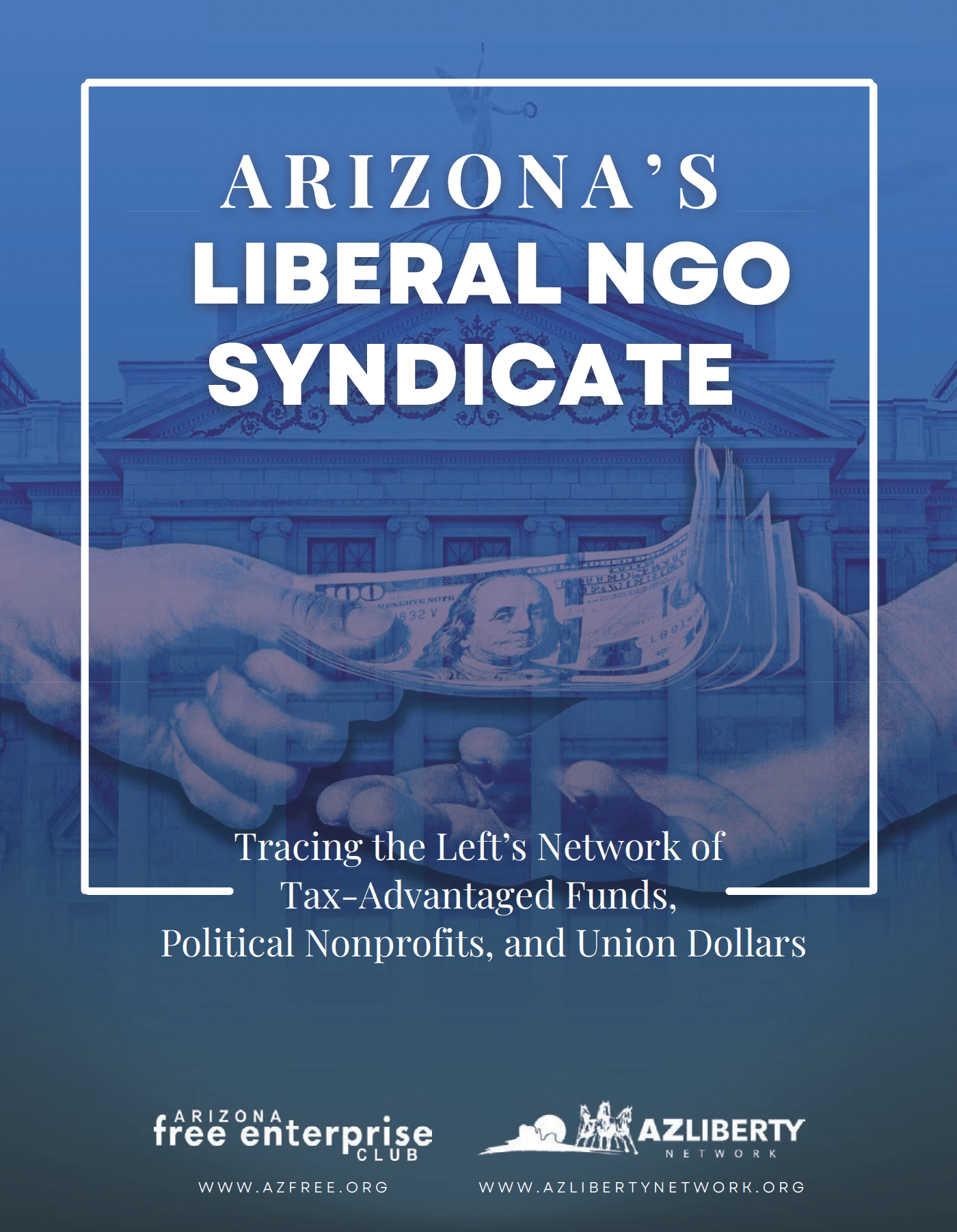 Liberal NGO Syndicate Report